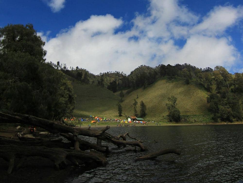 ilustrasi tenda pendaki di Ranu Kumbolo dari kejauhan