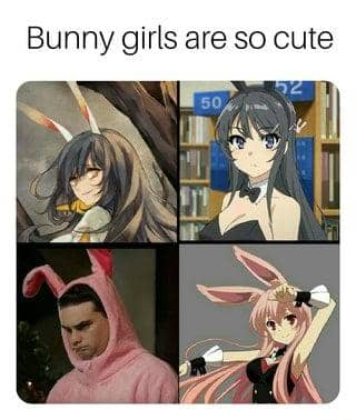 meme anime tentang kelinci