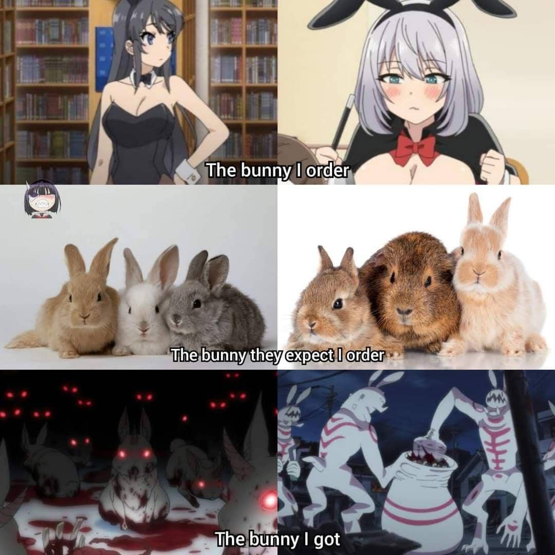 meme anime tentang kelinci