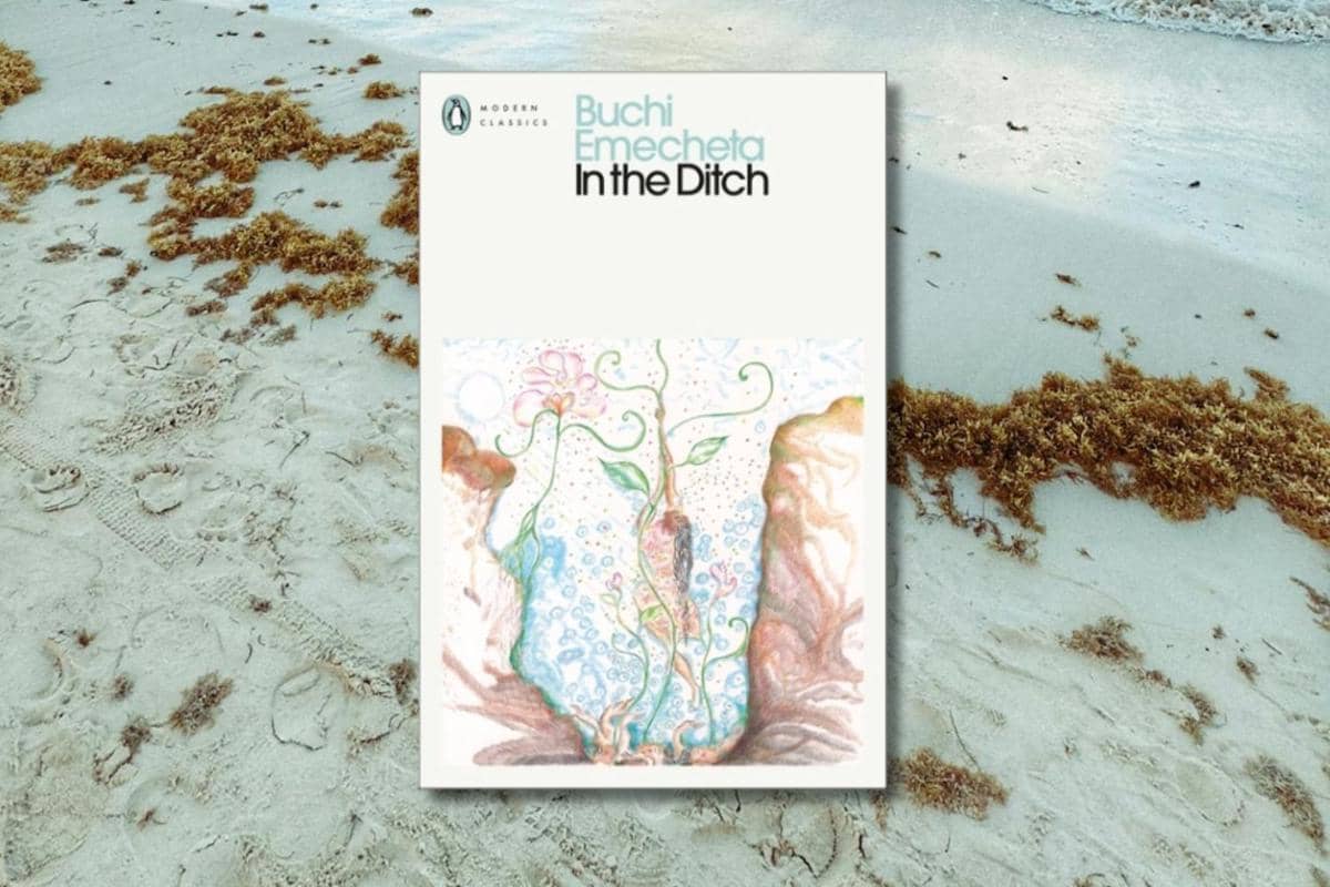 In the Ditch karya Emecheta Buchi 