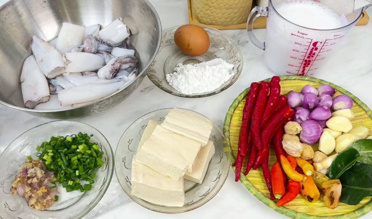 ilustrasi bahan gulai cumi bunting