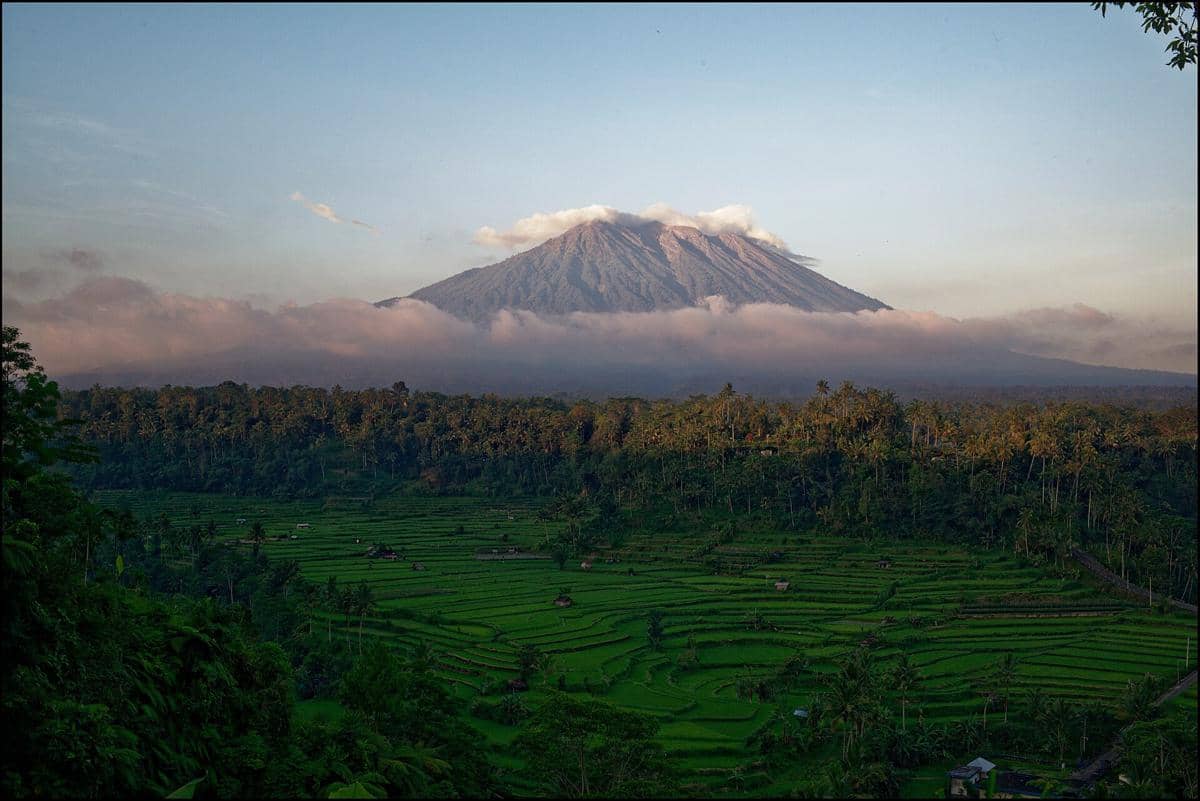 Pemandangan Gunung Agung yang menampilkan hutan hujan dan sawah terasering.