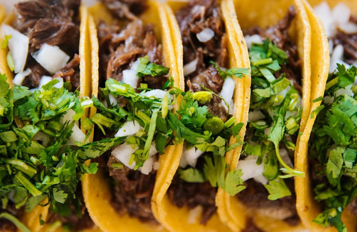 ilustrasi bulgogi beef taco