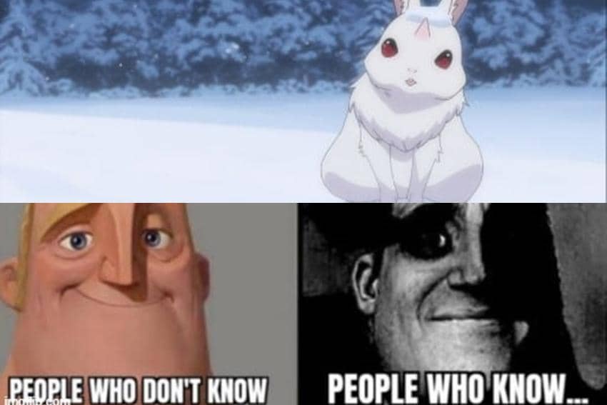 8 Meme Anime tentang Kelinci, kok Jadi Seram Begini?