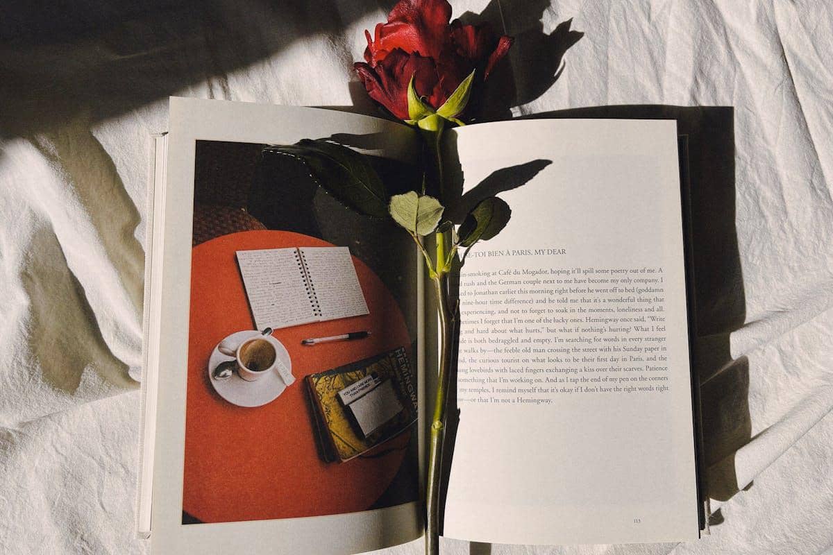 ilustrasi buku puisi 