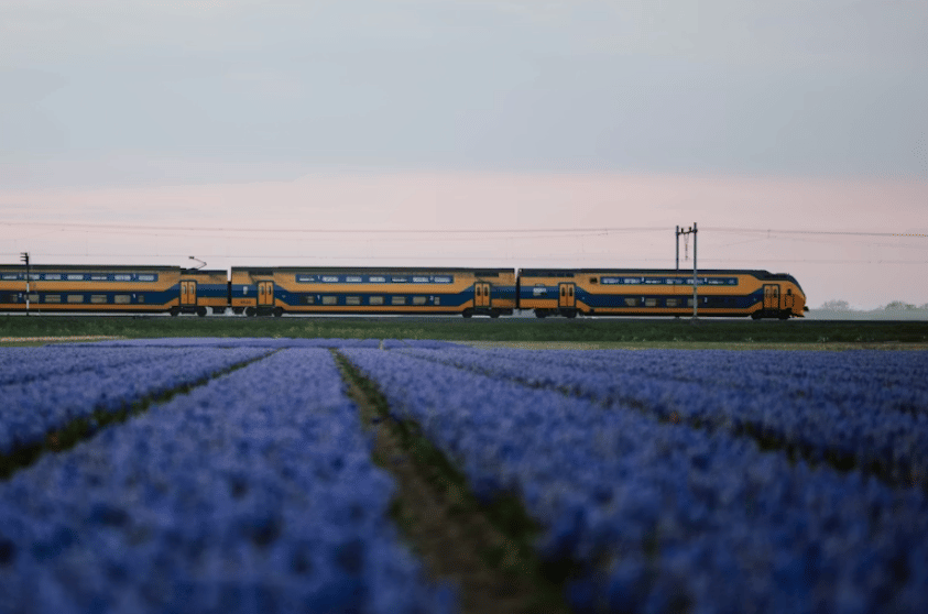 Screen Shot 2026-04-28 at 9.14.07 AM.png