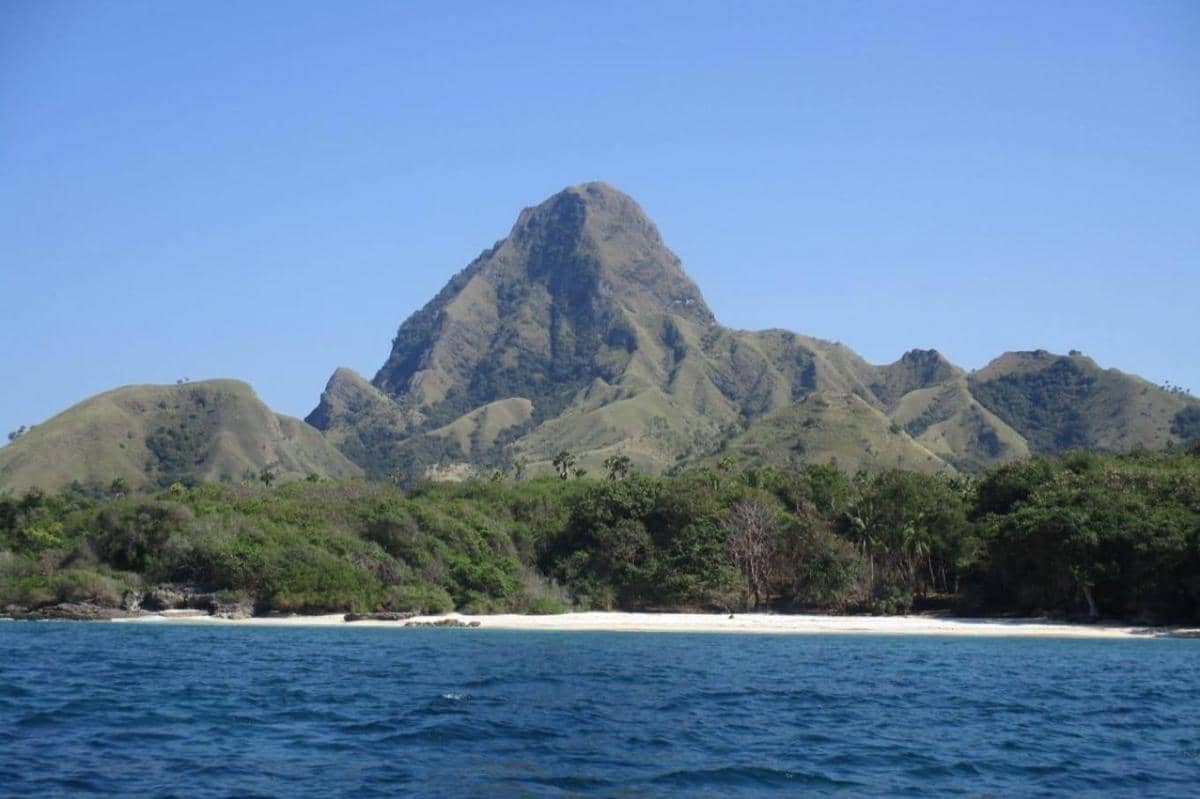 Daya Tarik Nuca Molas yang Disebut Jurassic Parknya Indonesia