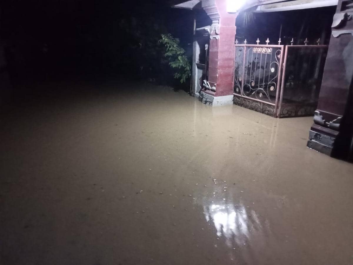 Banjir di Jembrana, Belasan Rumah Terendam hingga Sapi Hanyut