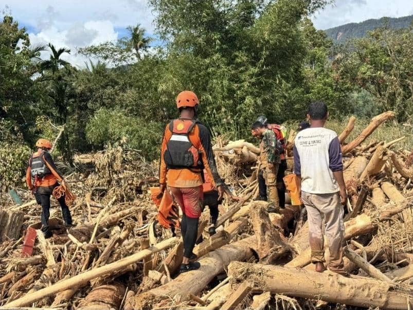 Basarnas Special Group, Basarnas, SAR