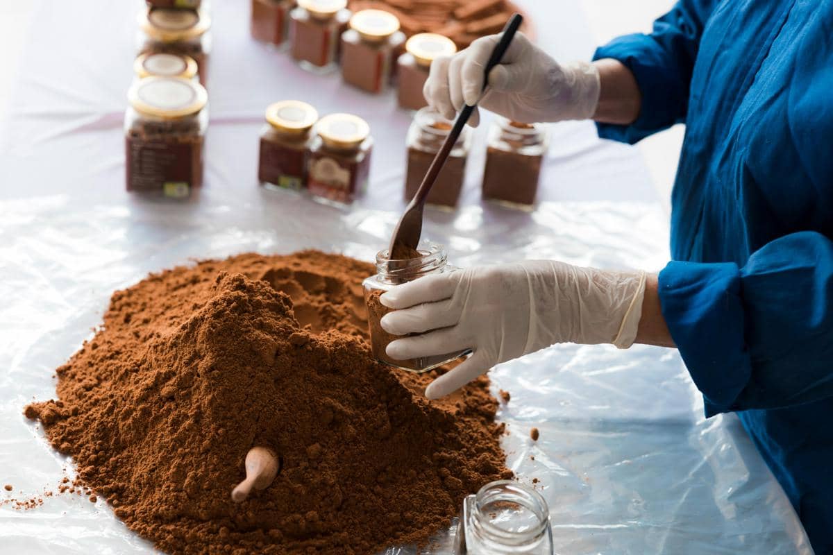 ilustrasi kakao powder 