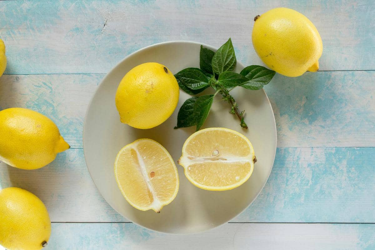 ilustrasi buah lemon