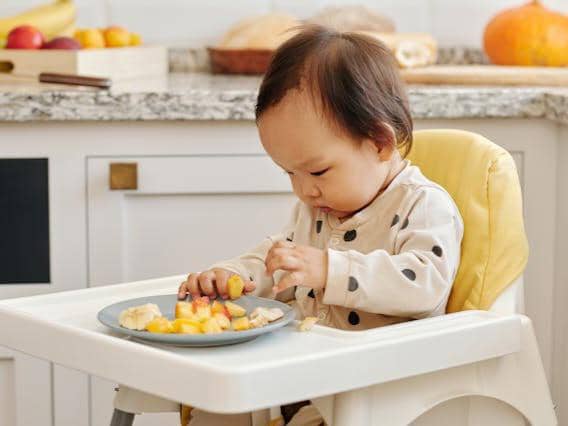 Anak balita duduk di kursi makan tinggi sambil menikmati potongan buah berwarna cerah di atas piring di dapur rumah.