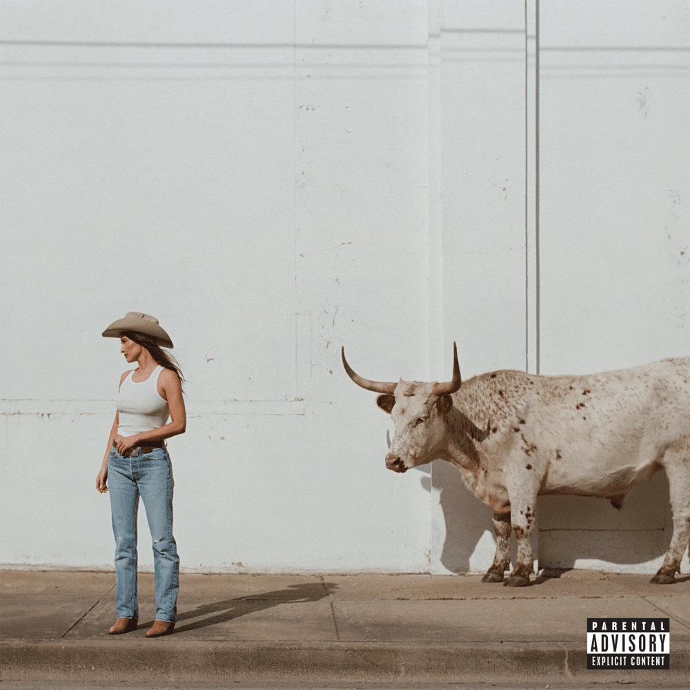 Cover album Middle of Nowhere - Kacey Musgraves