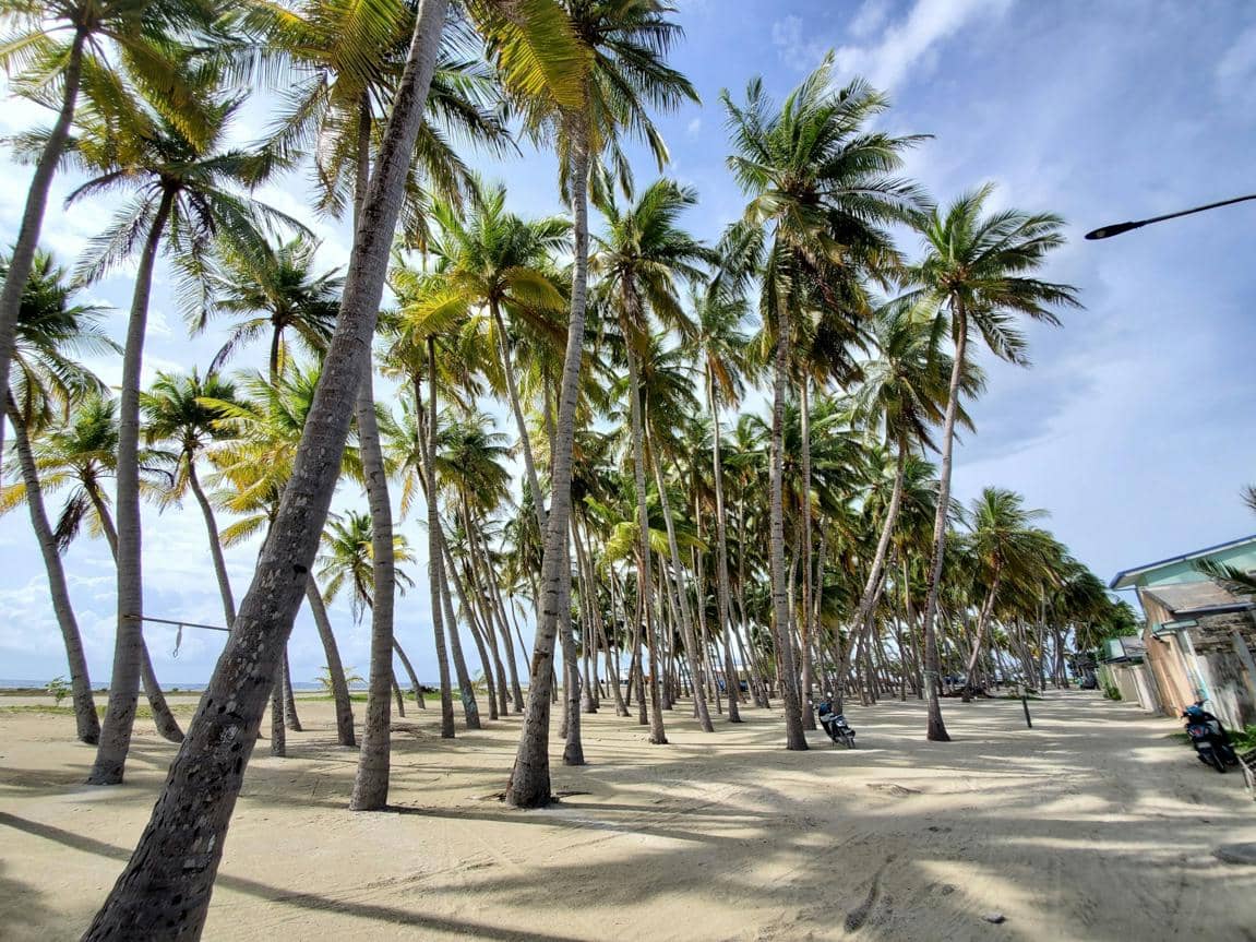 ilustrasi suasana pulau di Maldives