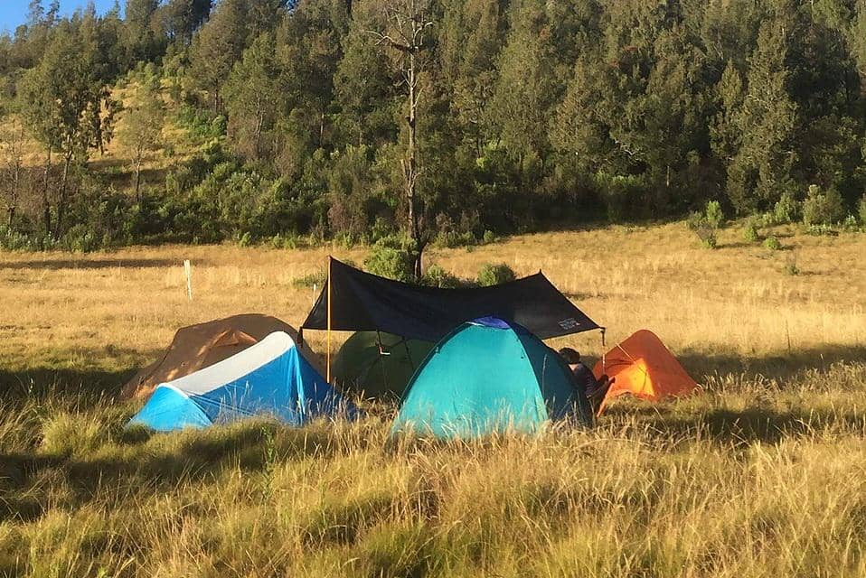 Gunung Argopuro Kembali Dibuka 1 Mei 2026, Cek Jalur Resminya!