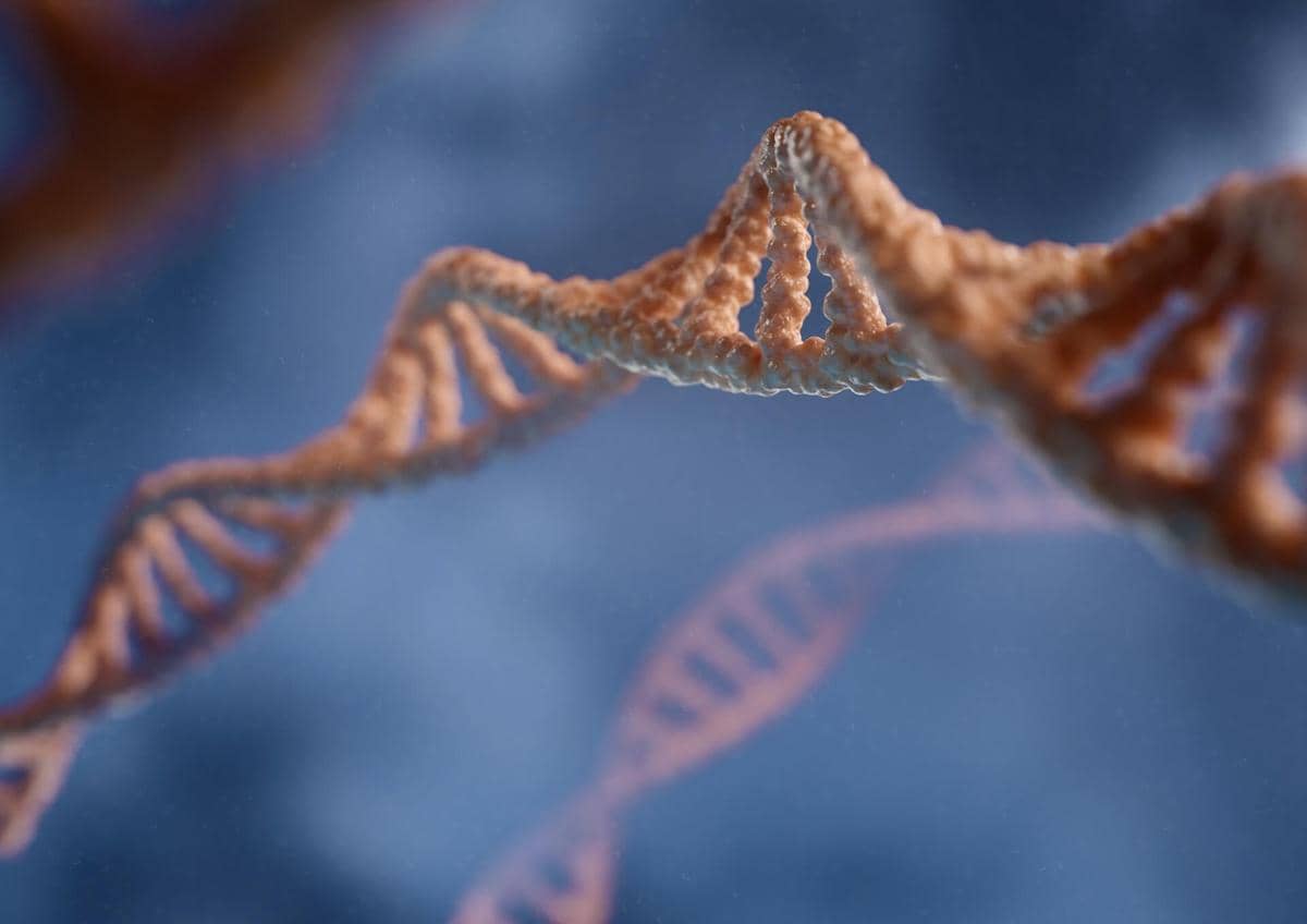 ilustrasi genetik, DNA