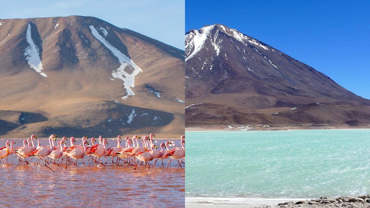 Laguna Colorada (kiri) dipenuhi flamingo, sementara Laguna Verde (kanan) justru dihindari.