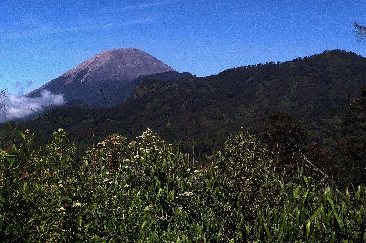 ilustrasi Gunung Semeru