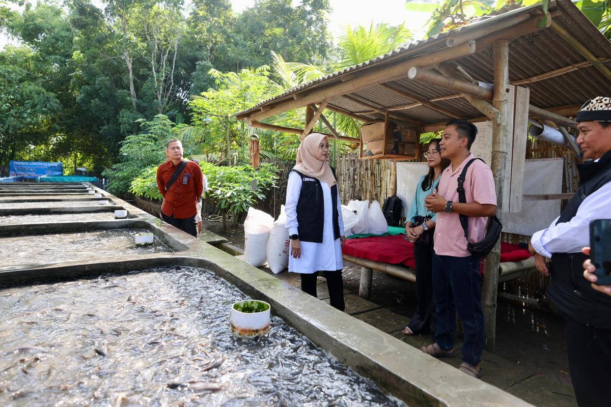 Pemuda Desa di Banyuwangi Raup Omset Ratusan Juta dari Budidaya Lele