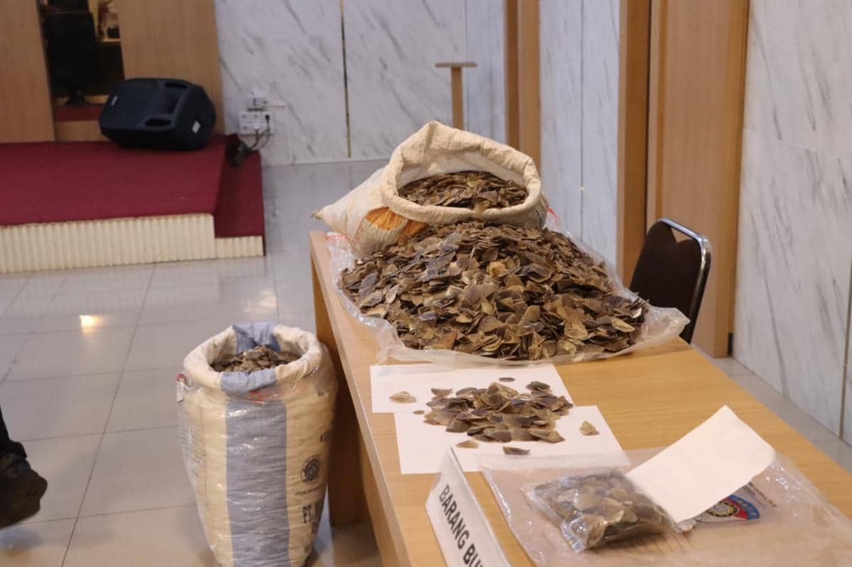 WhatsApp Image 2026-04-29 at 2.22.11 PM.jpeg