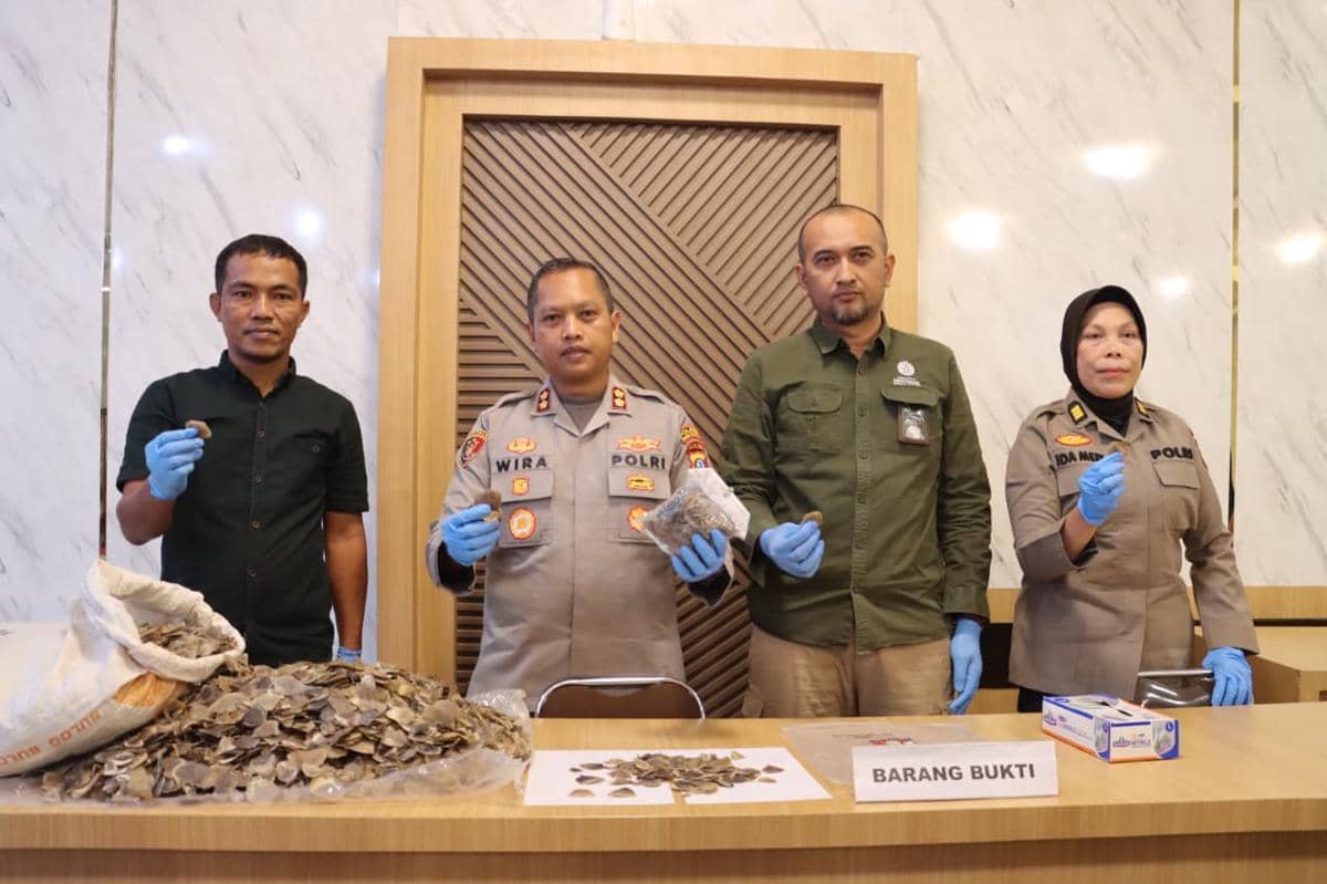 Petani Padangsidimpuan Ditangkap Karena Jual Sisik Tenggiling