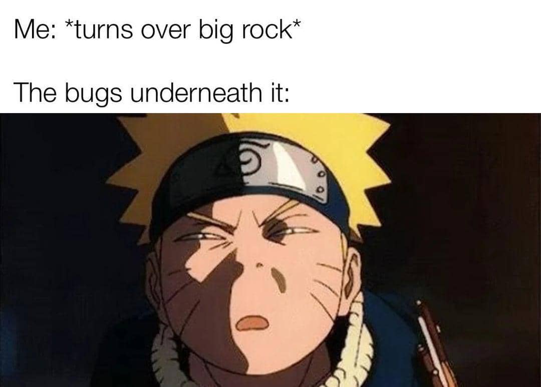 meme anime tentang kecerahan
