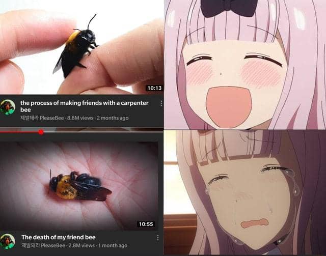 meme anime tentang kesedihan