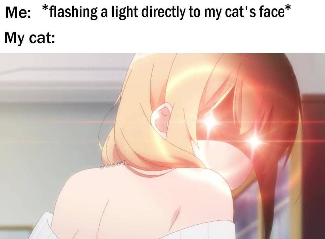 meme anime tentang kecerahan