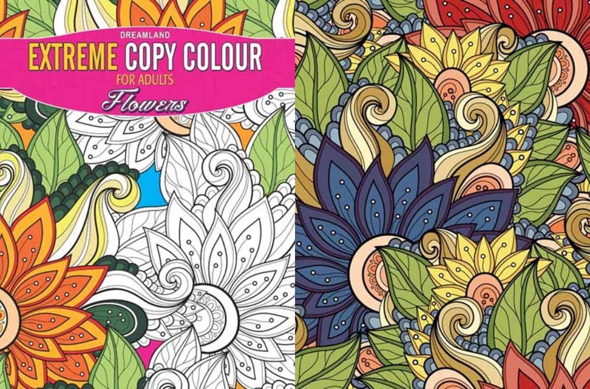 [Dreamland] Extreme Copy Colour For Adults 