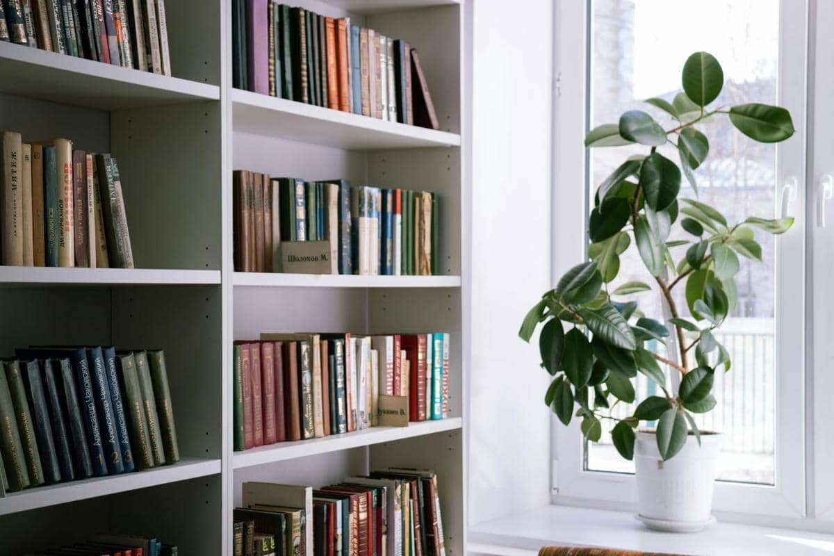 8 Inspirasi DIY Rak Buku Minimalis Hemat Tempat untuk Ruang Baca