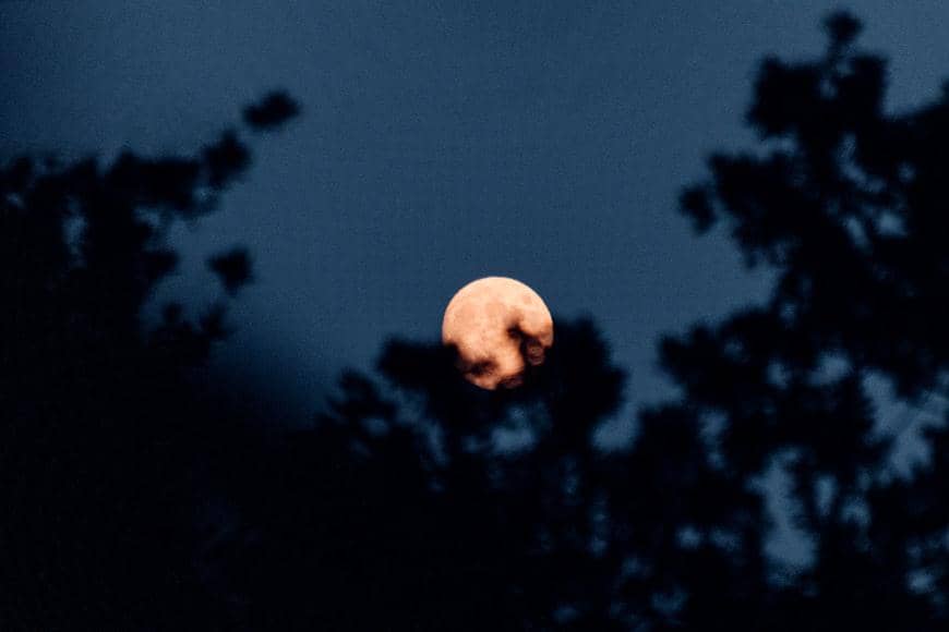 Bulan purnama berwarna keemasan tampak bersinar di langit malam dengan siluet pepohonan di sekelilingnya.