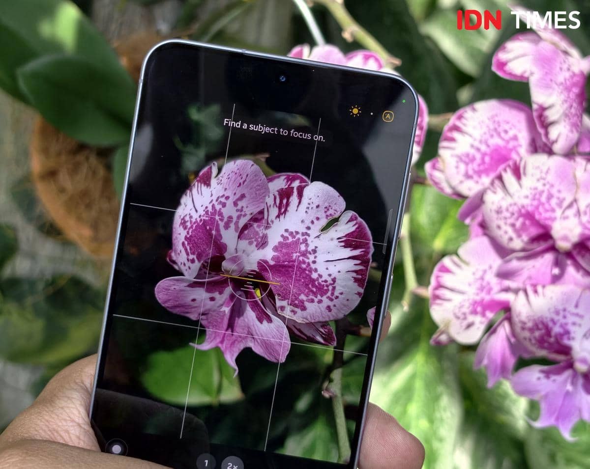 Menjajal Kamera Samsung Galaxy A57 5G di Taman Bunga Anggrek, Cantik!