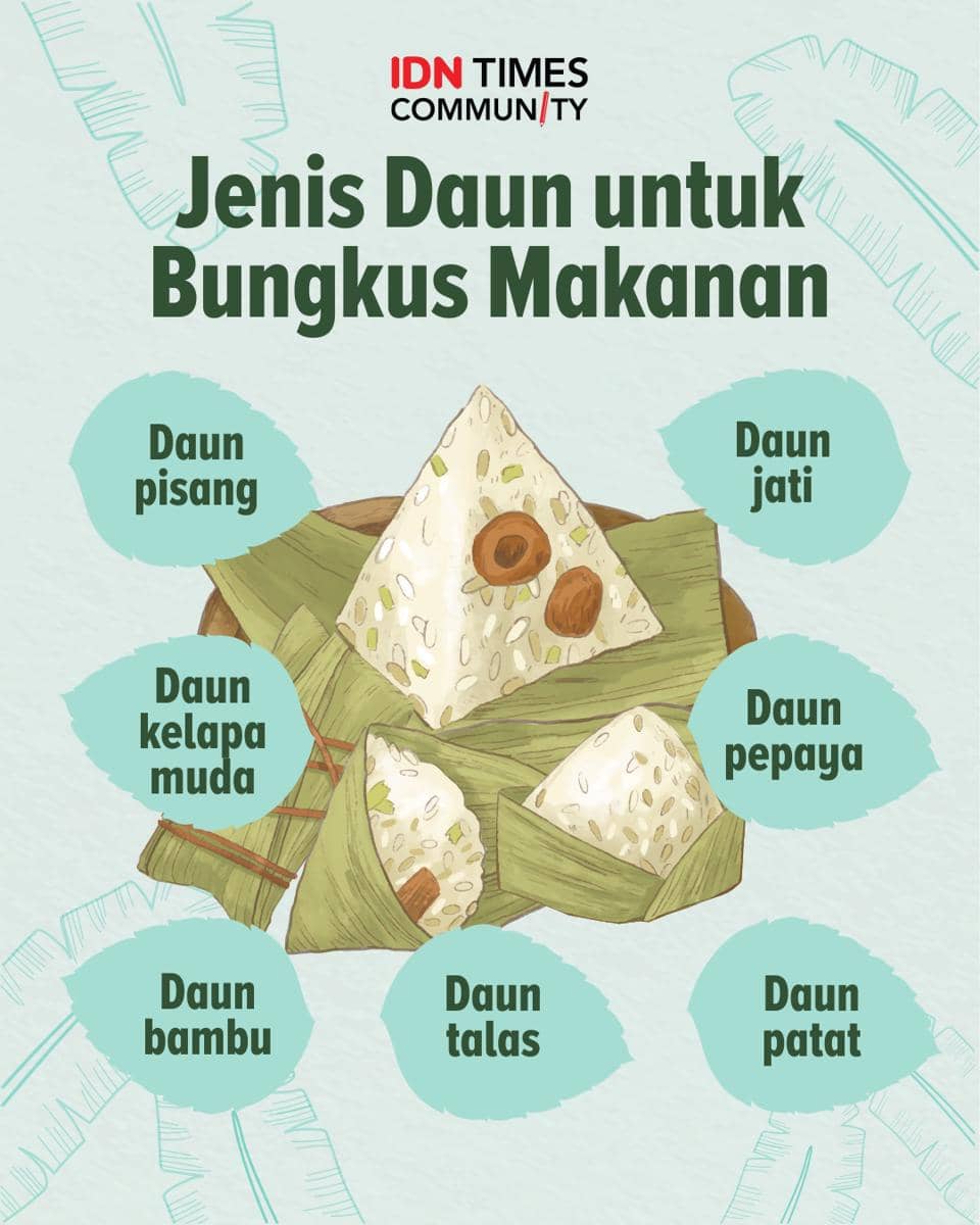 Infografik jenis daun untuk bungkus makanan