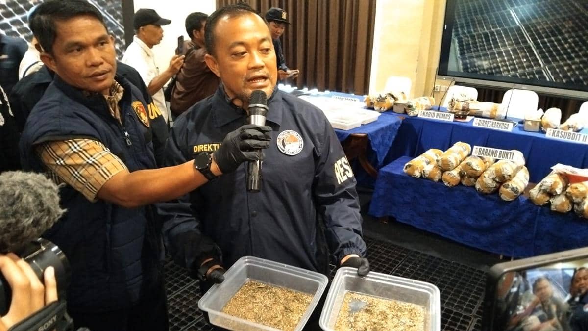 Polda Sumsel Temukan 20 Hektare Ladang Ganja di Kabupaten Empat Lawang