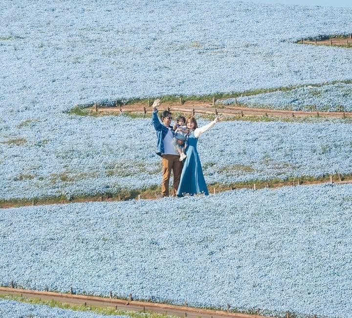 Sabrina Anggraini liburan di Hitachi Seaside Park