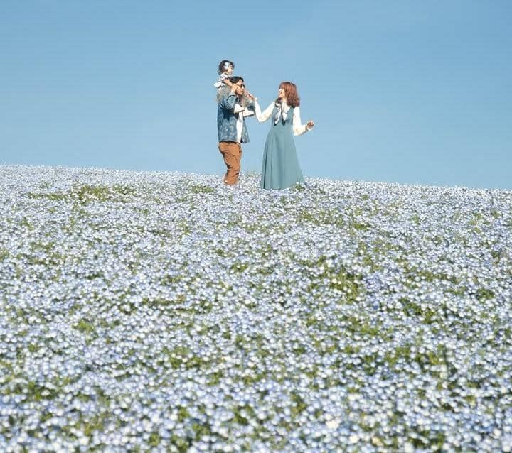 Sabrina Anggraini liburan di Hitachi Seaside Park