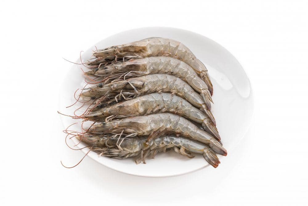 Udang