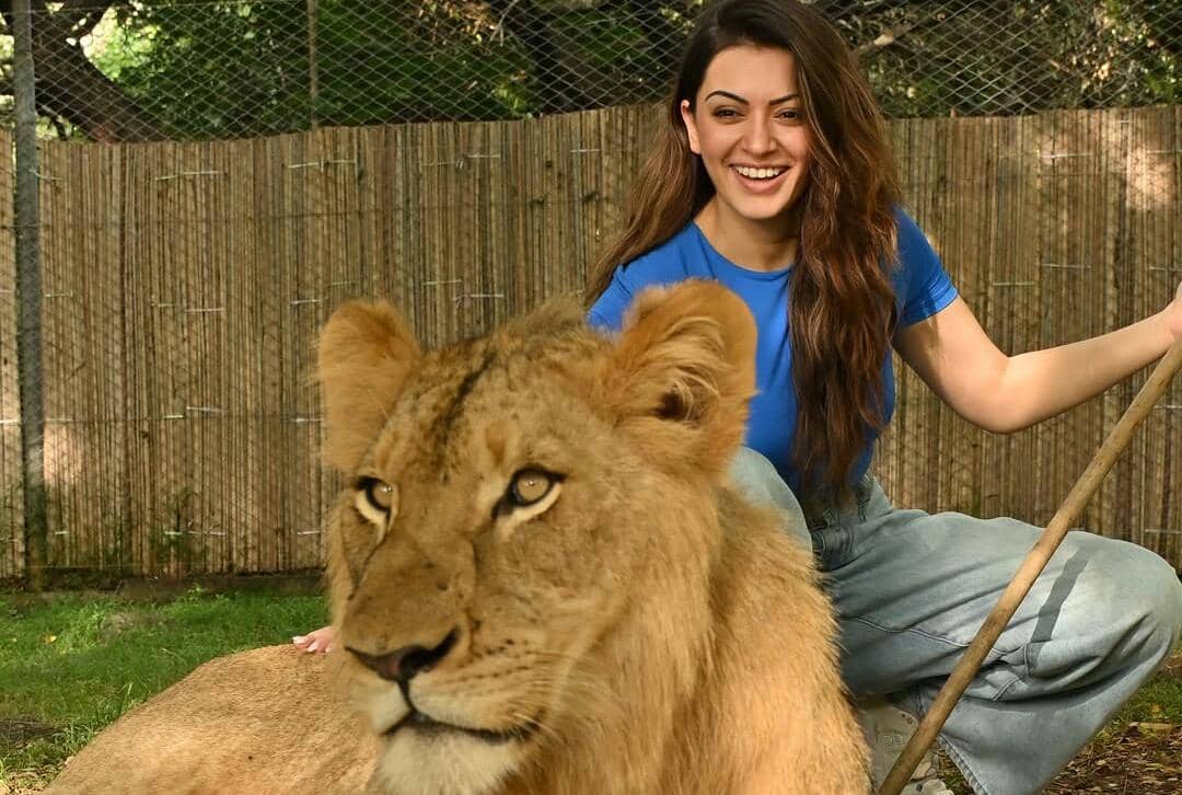 Hansika Motwani