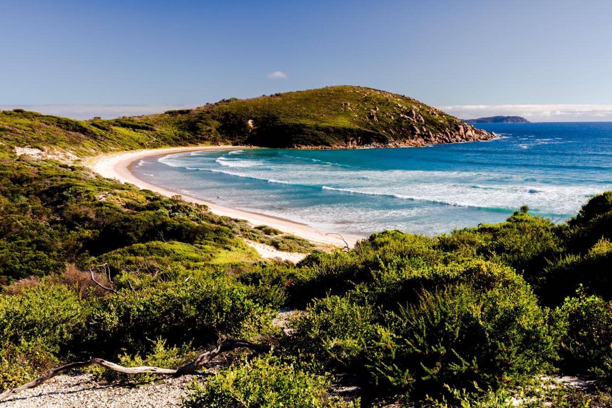 5 Fakta Wilsons Promontory, Taman Nasional di Ujung Selatan Australia