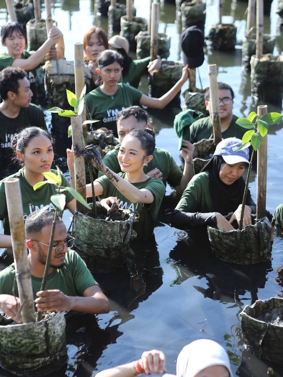 potret Victoria Kosasieputri, Puteri Indonesia Lingkungan 2026 menanam mangrove