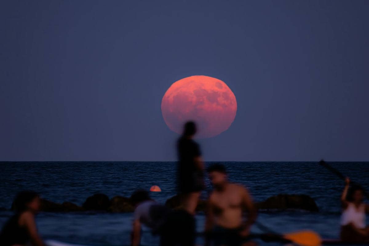 3 Dampak Fenomena Flower Moon yang Terjadi pada 2 Mei 2026