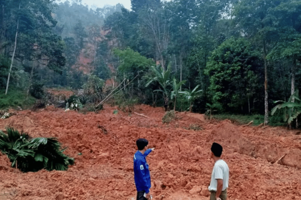 3 Hektare Sawah dan Kebun di Lebak Terdampak Longsor