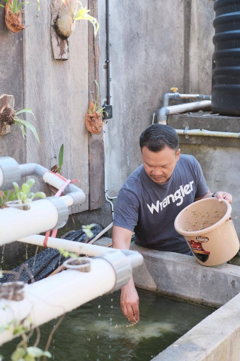  I Kadek Kamardiyana saat berupaya mengolah sampah menjadi pakan ternak.
