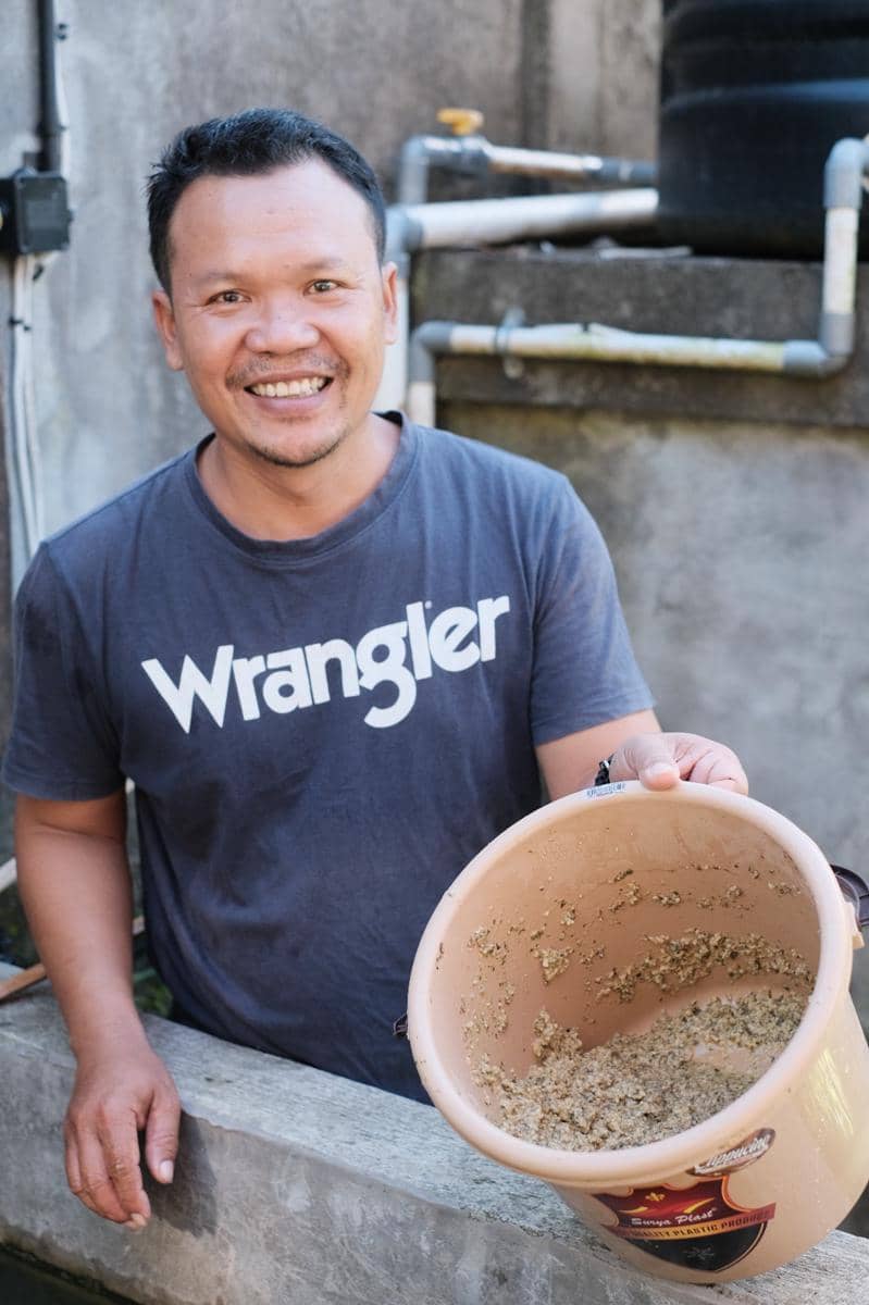  I Kadek Kamardiyana saat berupaya mengolah sampah menjadi pakan ternak.