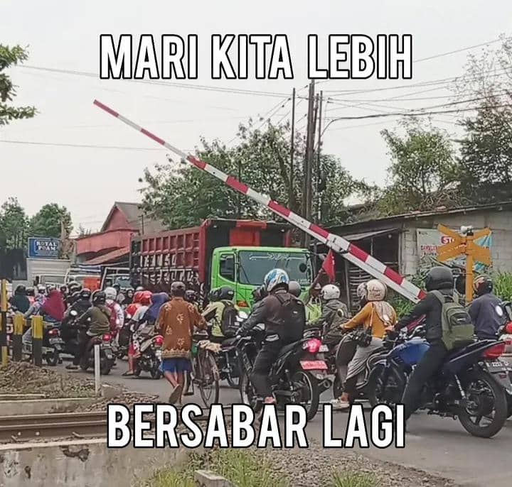 meme viral 