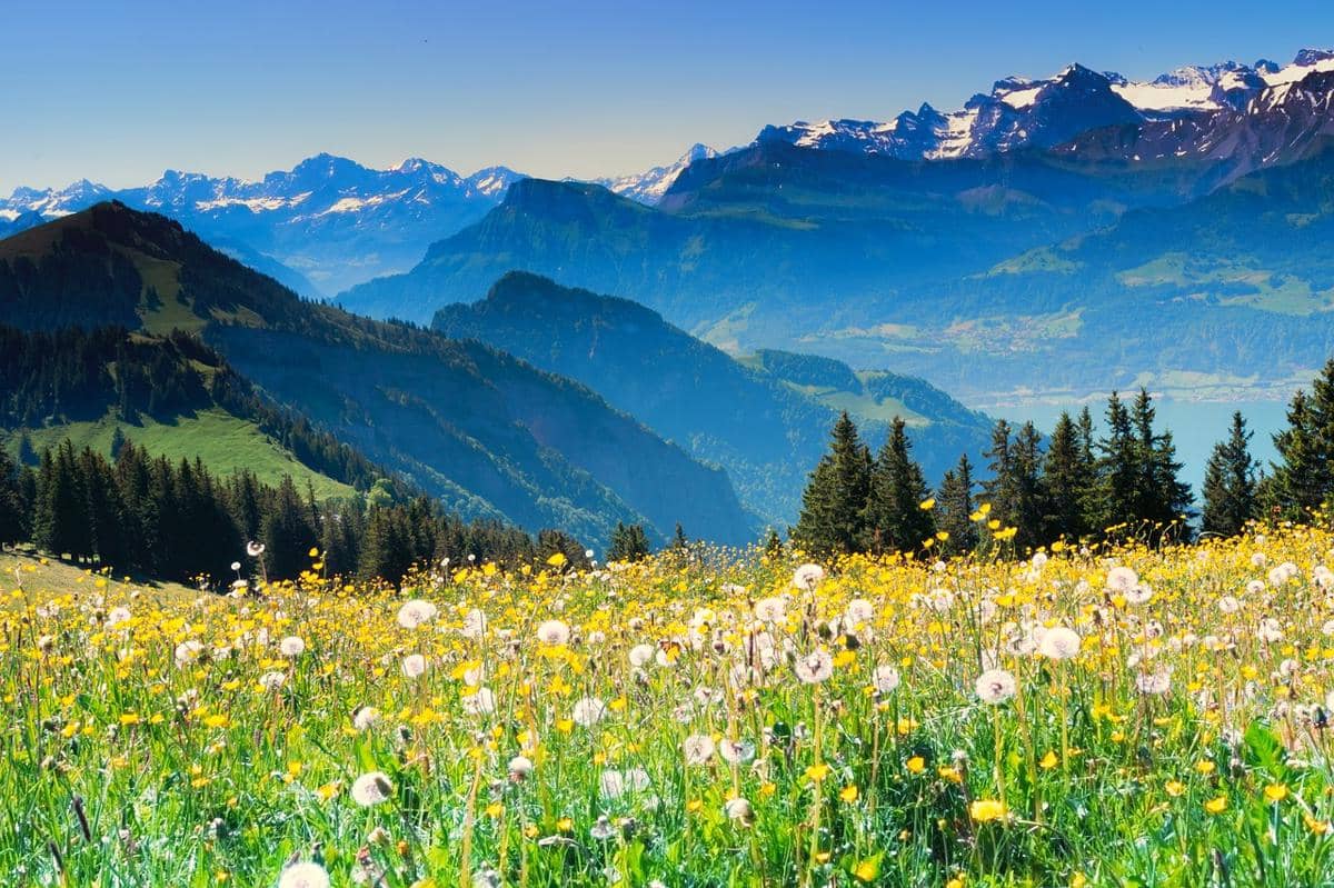 potret Pegunungan Alpen, Swiss