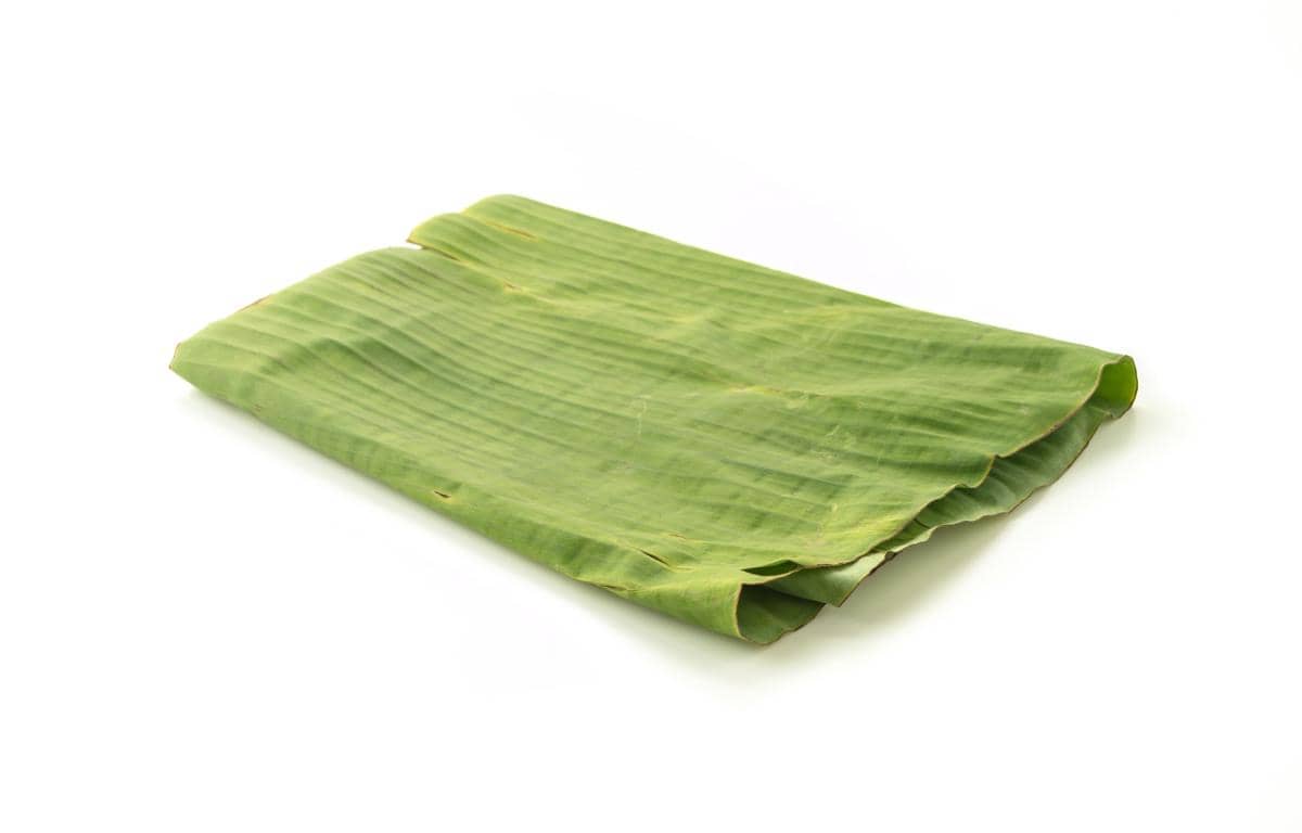 ilustrasi daun pisang 