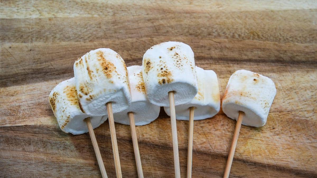 ilustrasi membakar marshmallow 