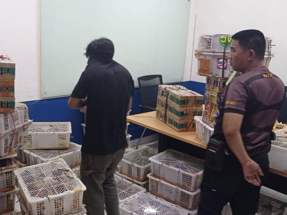 Ribuan Burung Ilegal Asal Metro Disita Petugas di Tol Lampung