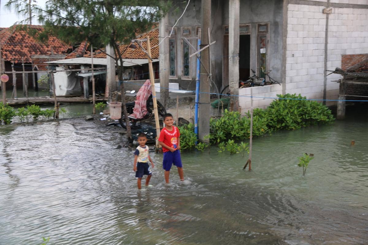 Banjir Rob Bukan Sekadar Bencana, Bisa Ubah Potret Sosial